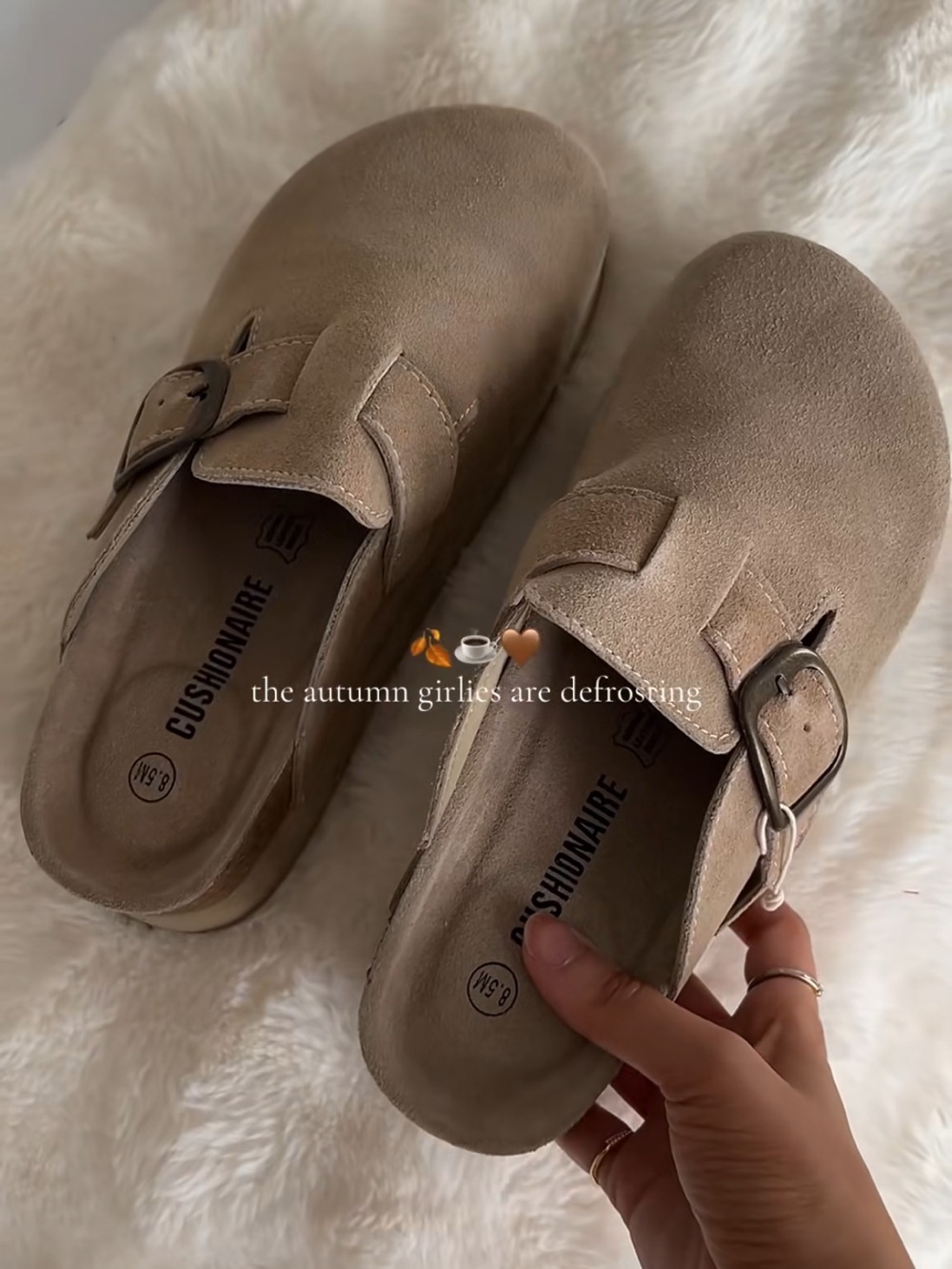 Cushionaire Taupe Suede Buckle Clog